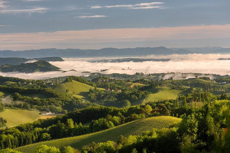 Der Frühlingsnebel lichtet sich und gibt die grünen Hänge der Südsteiermark frei.