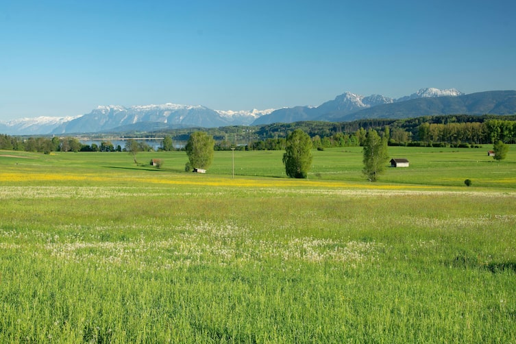 Blick über den Waginger See bei Wolkersdorf mit Untersberg, Hochstaufen und Zwiesel