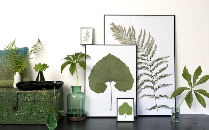 Deko mit gepressten Blumen und Blättern