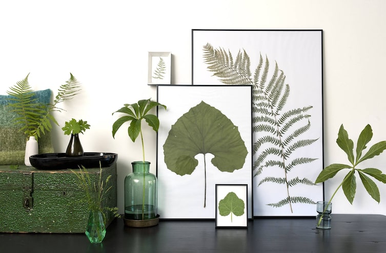 Deko mit gepressten Blumen und Blättern