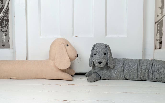 Hund, Zugluft, Tür, Tipp