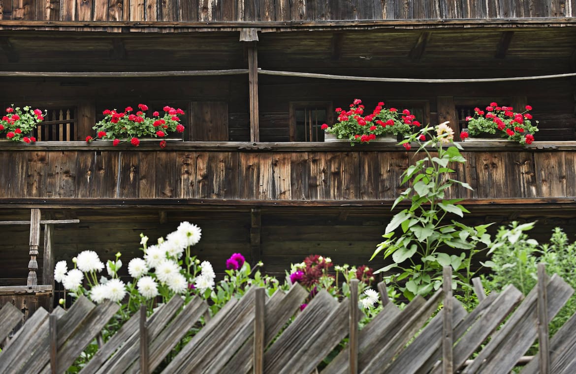 Wohnen, Baukunst, Österreich, Architektur