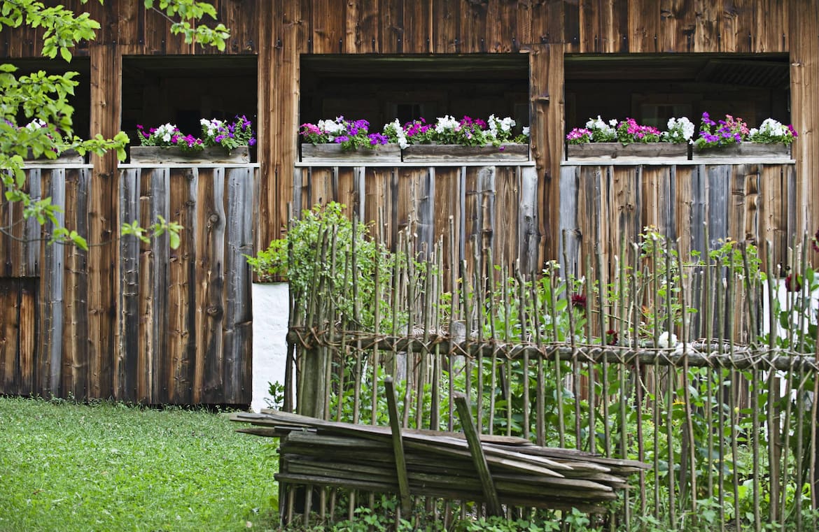 Wohnen, Baukunst, Österreich, Architektur