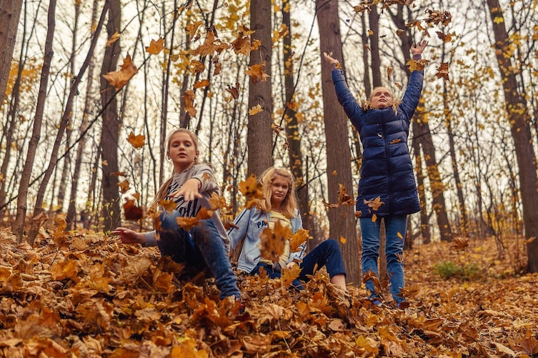 Drei Mädchen in einem Herbstwald. Zwei Mädchen werfen braunes Laub.