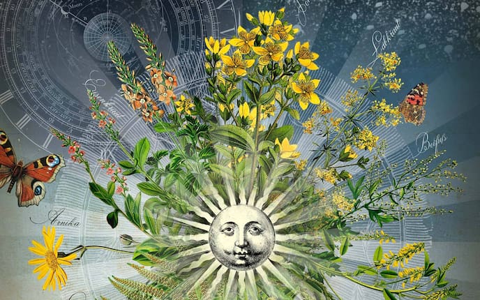 Blumen, Zeit, Illustration, Zeitmessung