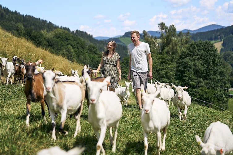 Kerstin und Andreas Polhammer mit ihren Ziegen am Ziegenhof Melter.