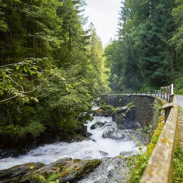 Wanderer genießen das sanfte Wasserrauschen in der idyllischen Talbachklamm bei Schladming.