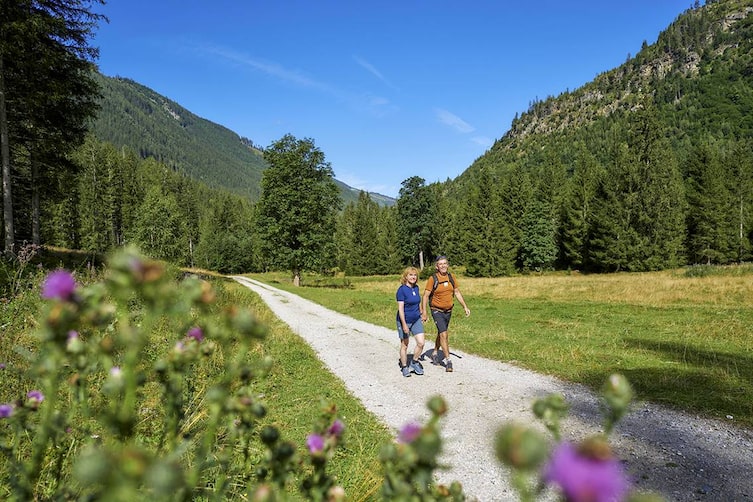 Zwei Wanderer unterwegs auf einem breiten Schotterweg durch die sonnige, grüne Landschaft im Untertal bei Schladming.