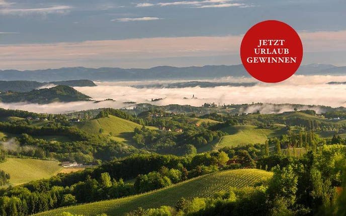 11 Rezepte für selbst gemachten Sirup aus Früchten und Blüten - Servus 11 Rezepte für selbst gemachten Sirup aus Früchten und Blüten - Servus