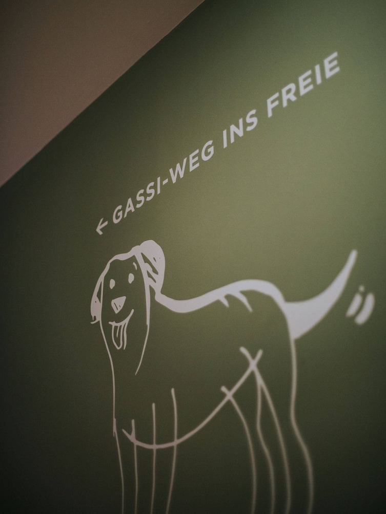 Grüne Wand auf die ein Hund gemalt ist und darüber steht Gassie-Weg ins Freie