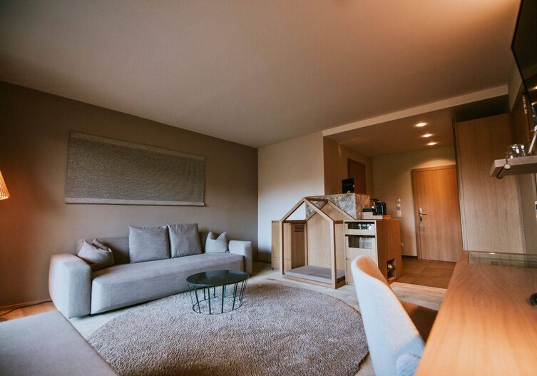 Hotelzimmer mit Sofa und einem eigenen Bereich für Hunde
