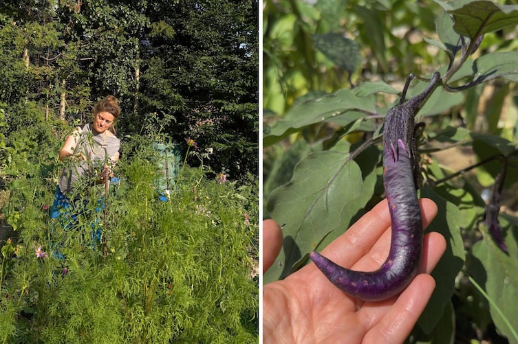 Links: Andrea Heistinger in ihrem Beet. Rechts: Eine Melanzani in Form einer Chili.