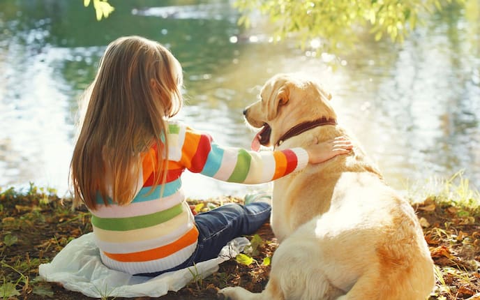 Kind, Hund, Mädchen, Tiere, Haustierwissen