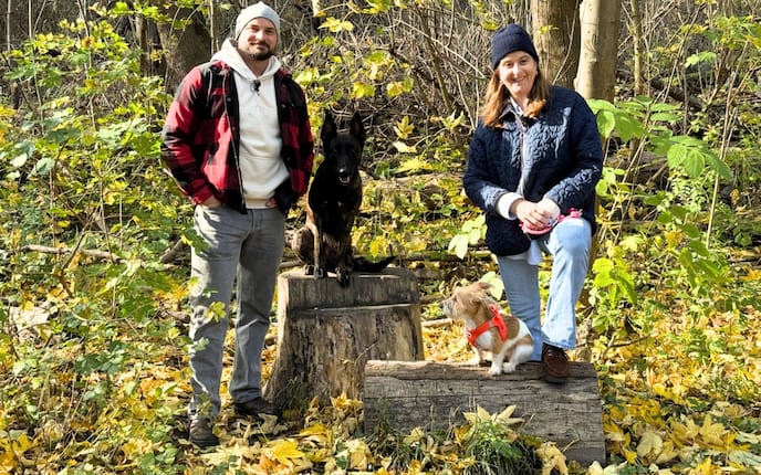 Hündin Trudi ist schon darüber hinweg, Mesis kleine mittendrin, in der Flegelphase.