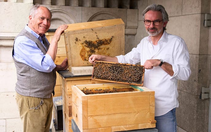 Stephansdom, Honig, Bienen, Imper, Hans Gasperl, Gregor de Lijzer