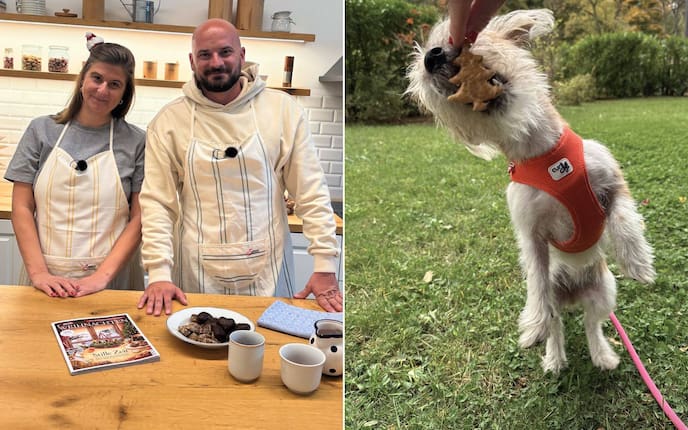 Hundekekse backen, Hundepodcast, Mesi Tötschinger, Florian Günther