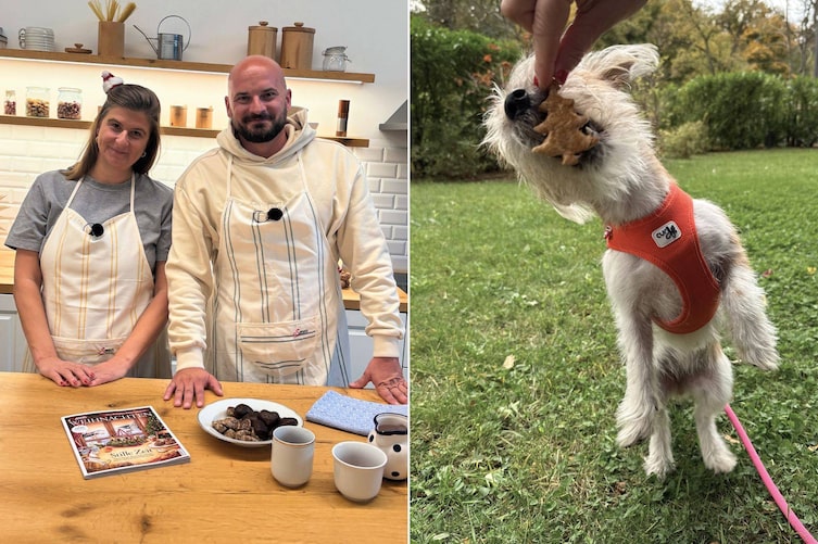 Hundekekse backen, Hundepodcast, Mesi Tötschinger, Florian Günther
