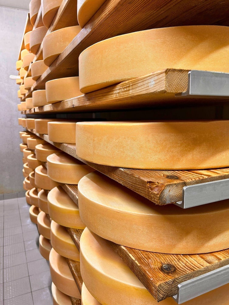 Käselaibe im Käsereiferaum in der Käserei Huber in Galtür.