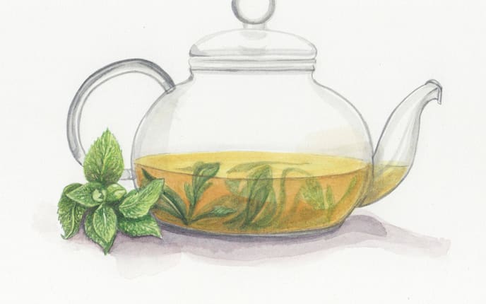 Tee, Pfefferminztee, Illustration