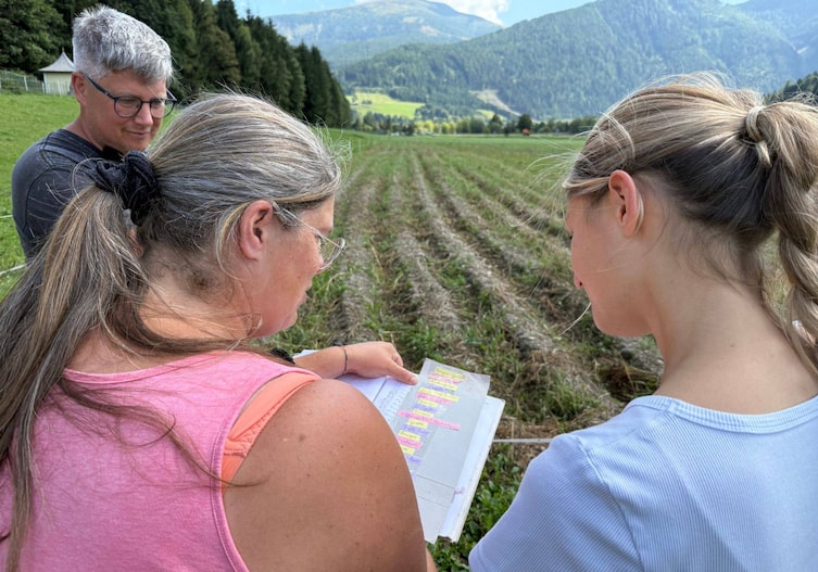 Liste mit den Erdäpfel-Reihen.