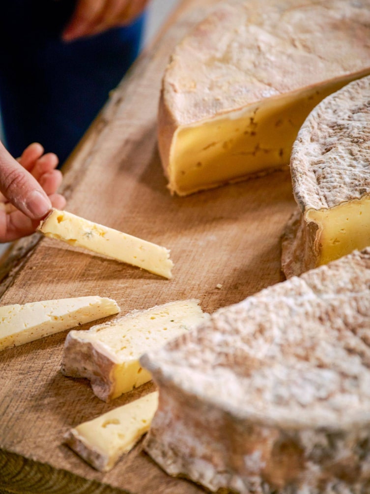 Käse von Stefan Sigl.