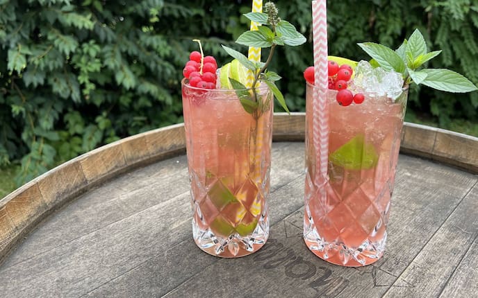 Zirbe, Getränk, Zirbenrinha, Trinken, Servus, Rezept