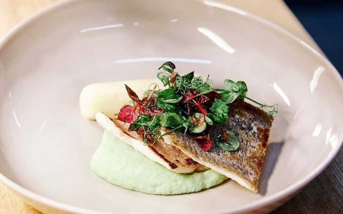 Bachforelle, Fisch, Creme, Kräuter, Hauptspeise, Servus Rezept
