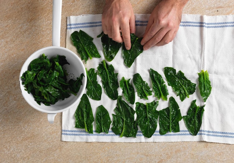 Saibling-Spinat-Röllchen, Hauptspeise, Fisch, Spinatblätter, Küchentuch