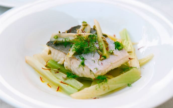 Fischfilet, Fisch, Fenchel, Dill, Servus Rezept