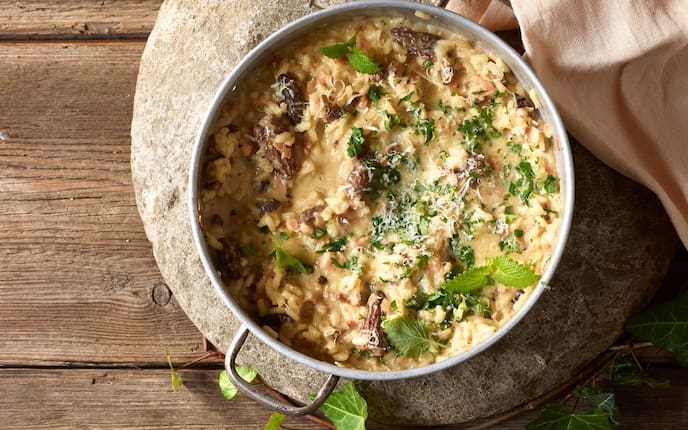Morchel, Risotto, Morchelrisotto, Parmesan, Hauptspeise, Servus Rezept