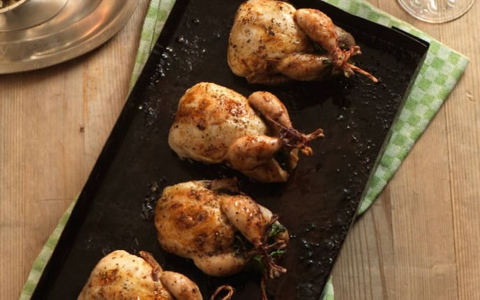 Wachteln, gegrillt, knusprig, Geflügel, Hauptspeise, Servus Rezept