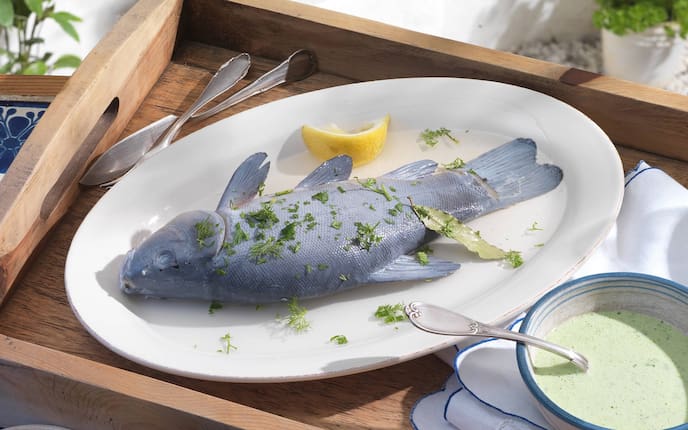 Schleie, Fischmesser, Gabel, Sauce, Spinat, Zitrone, Lorbeer, Teller, Löffel, Schüssel