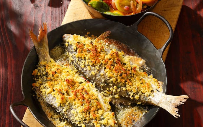 Rotfedern mit Thymian und Paradeiserragout (Bild: Eisenhut & Mayer)