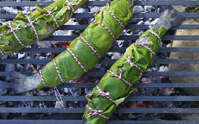 Bachforelle in Weinblättern, Forelle, Fisch, Grillen, Rezept