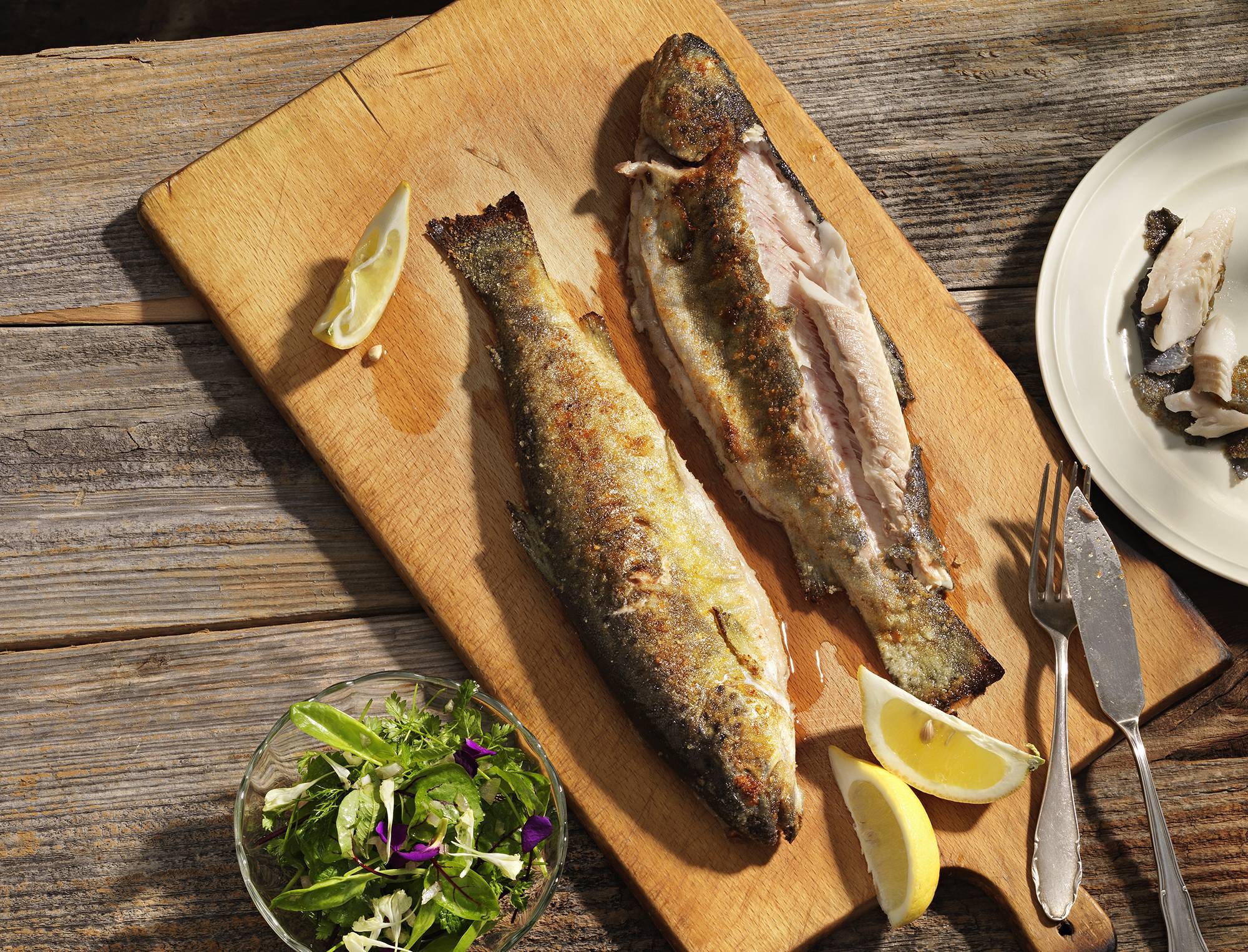Harzer Bachforelle - Rezepte Suchen