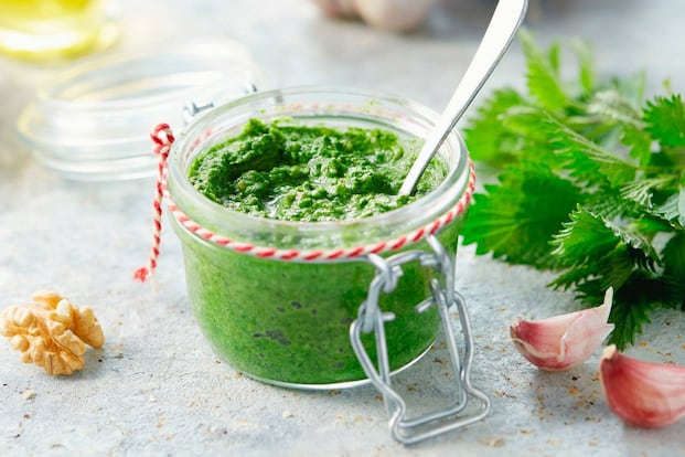 Brennnesselpesto - 0:20 h - Rezept - Servus