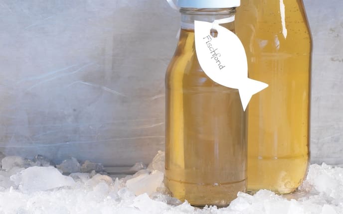 Flasche, Eis, Fischfond