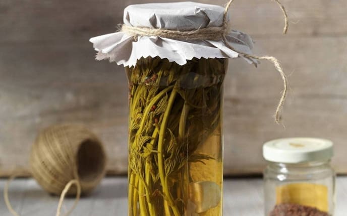 Hopfentriebe, Weckglas, Eingelegt