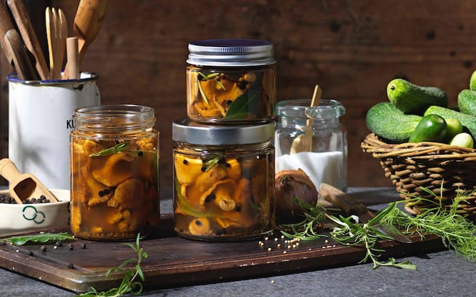 Eierschwammerl, Pfifferlinge, Gurken, Dill, Rosmarin, Pfefferkörner, Senfkörner, Salz, einlegen, Einmachgläser, Servus Rezept