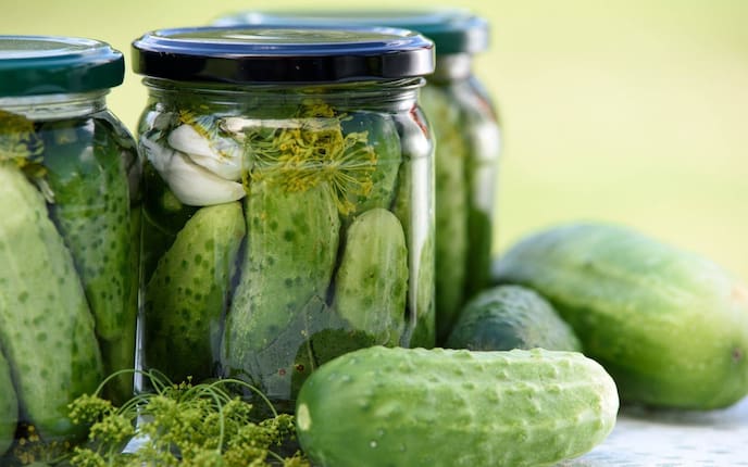 Gurken, eingelegte Gurkerl, Salzgurken, Eingemachtes, Beilage, Servus Rezept