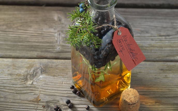 Wacholderdressing, Dressing, Beilage, Eingemachtes, Angesetztes, Vorratskammer, Flasche, Wacholderzweige, Wacholderbeeren, Servus Rezept