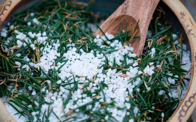 Fichtennadeln, grobes Salz, Schüssel, Holzlöffel, Servus Rezept
