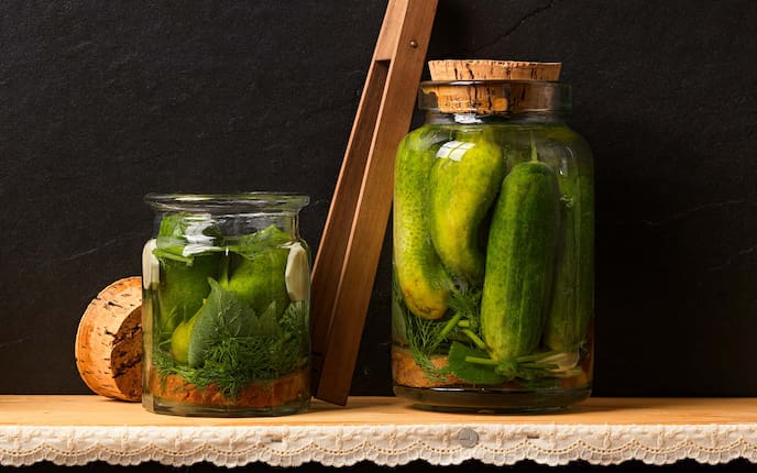 Zistersdorfer Salzgurken, Dillkraut, Weinviertel, Rexglas, Holzzange, Vorratskammer, Krenwurzel