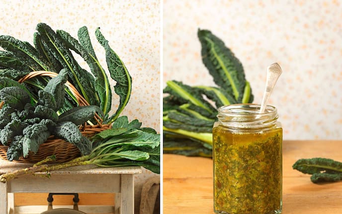 Schwarzkohl, Pesto, Schwarzkohlpesto, Beilage, Servus Rezept