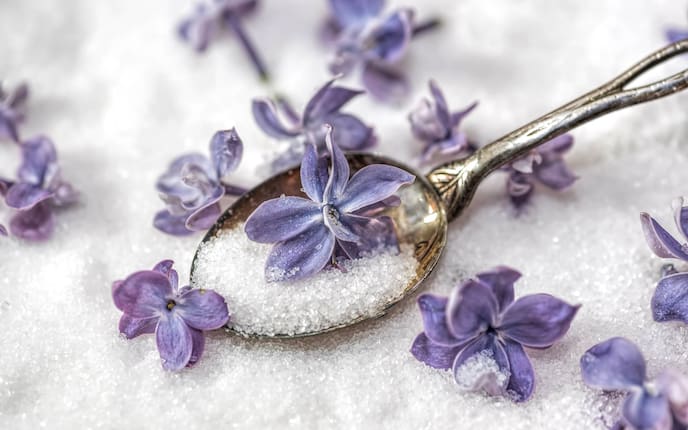 Flieder-Blütenzucker (Bild: Mauritius Images)