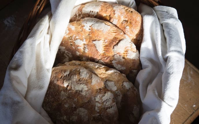 Brot, würziges Bio-Vollkornbrot, Bio-Brot, Bio