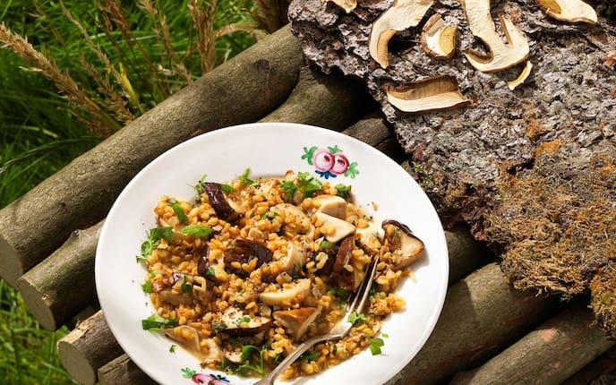Einkorn mit Steinpilzen, Steinpilz Rezept, Einkorn, Pilze, Schwammerlrezept, Servus Rezept