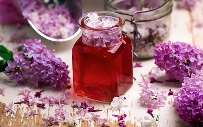 Fliedergelee im Glas, rundum violette Fliederblüten