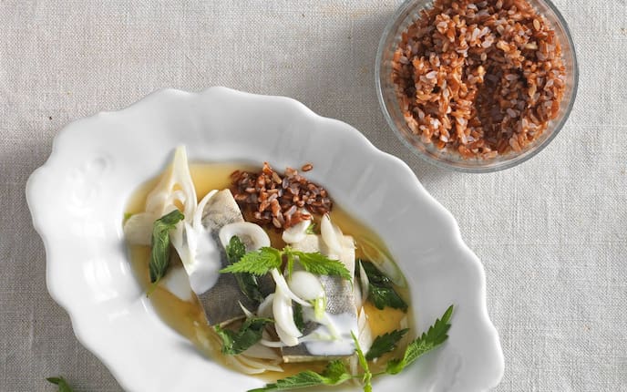 Bachforelle, Brennnesselsud, Joghurt, Brennnessel