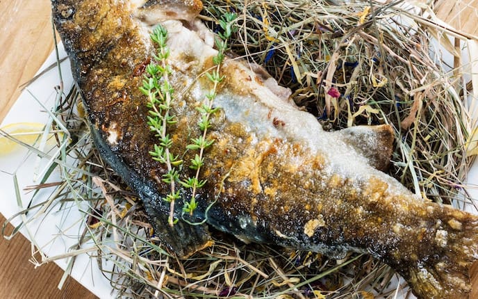 Fisch, Saibling, Heubett, Thymianzweige, gebraten, Hauptspeise, Fisch, Servus Rezept